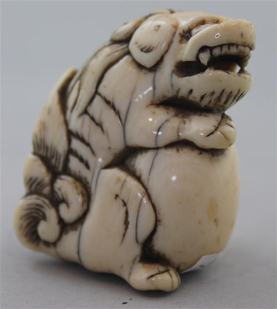 A Japanese ivory netsuke of a shi-shi, Edo period, 4cm